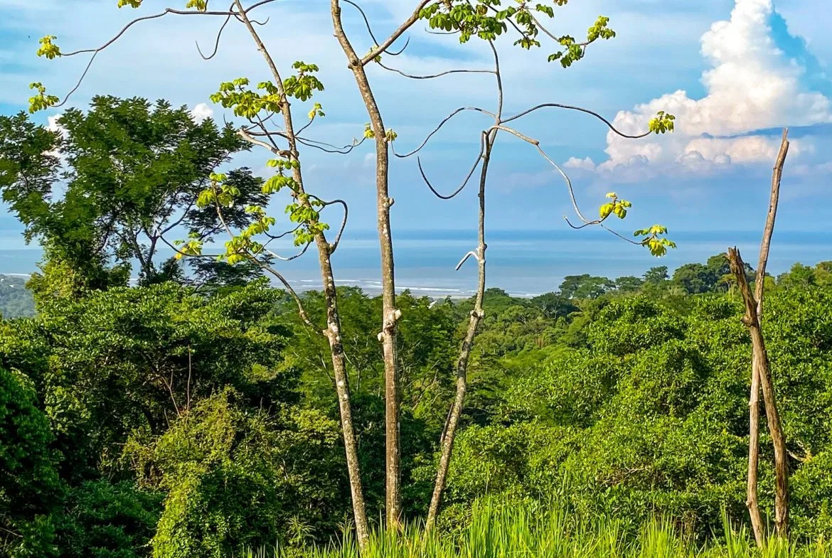 BUILDING PROPERTY WITH OCEAN VIEWS IN A GATED COMMUNITY, IN OJOCHAL – 0.4 ACRES, photo 24