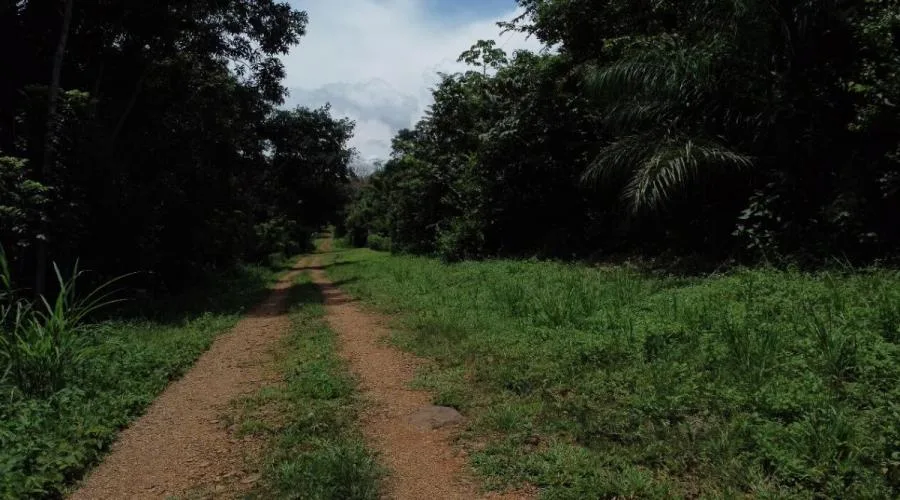 Venta de Lote en Orotina de Alajuela. - Venta en Orotina, photo 3