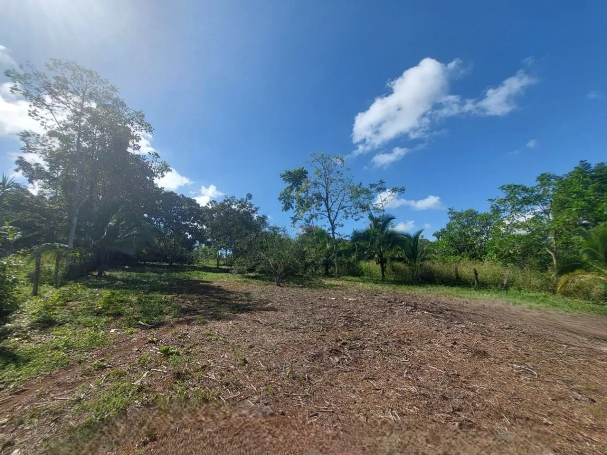 House for Sale with 3,494 m² Lot in Tres Ríos de Volcán, Buenos Aires: Privacy, Space, and Flat Topography