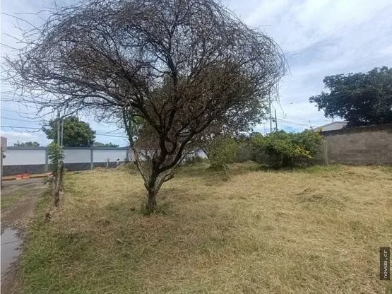 Build your Costa Rica home on a flat, ready-to-build lot on a quiet cul-de-sac in Santo Domingo de Heredia., photo 7
