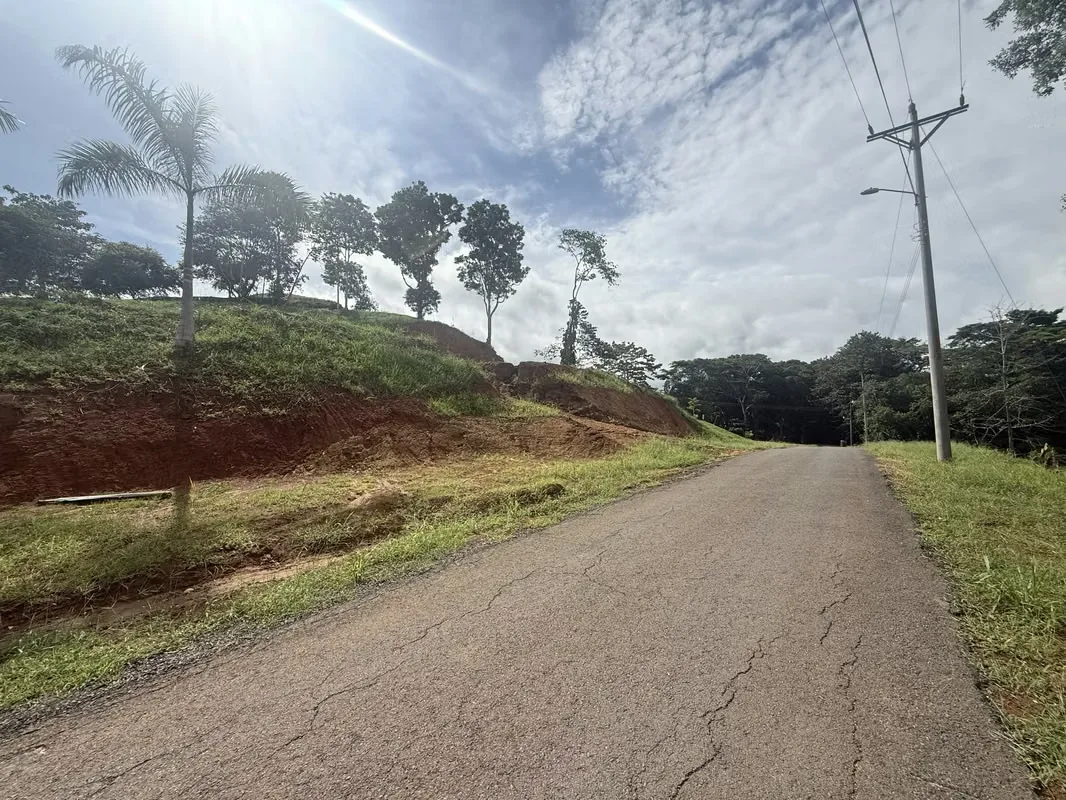 Residential Lot for Sale with Rural Charm, Playa Esterillos (MV), photo 2