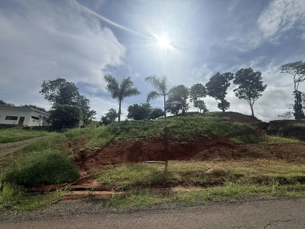 Residential Lot for Sale with Rural Charm, Playa Esterillos (MV), photo 5