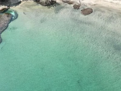 Wellness, Nature & Conscious Luxury Meet the Caribbean Sea, photo 3