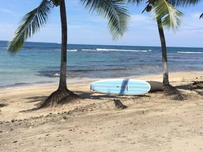 Wellness, Nature & Conscious Luxury Meet the Caribbean Sea, photo 7
