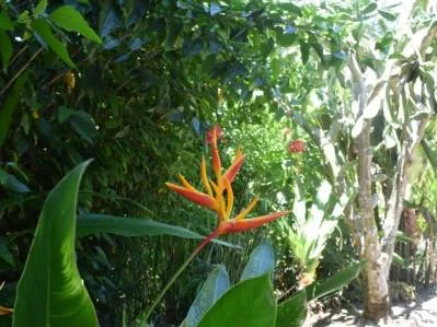 Wellness, Nature & Conscious Luxury Meet the Caribbean Sea, photo 8