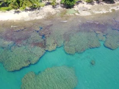 Wellness, Nature & Conscious Luxury Meet the Caribbean Sea, photo 9
