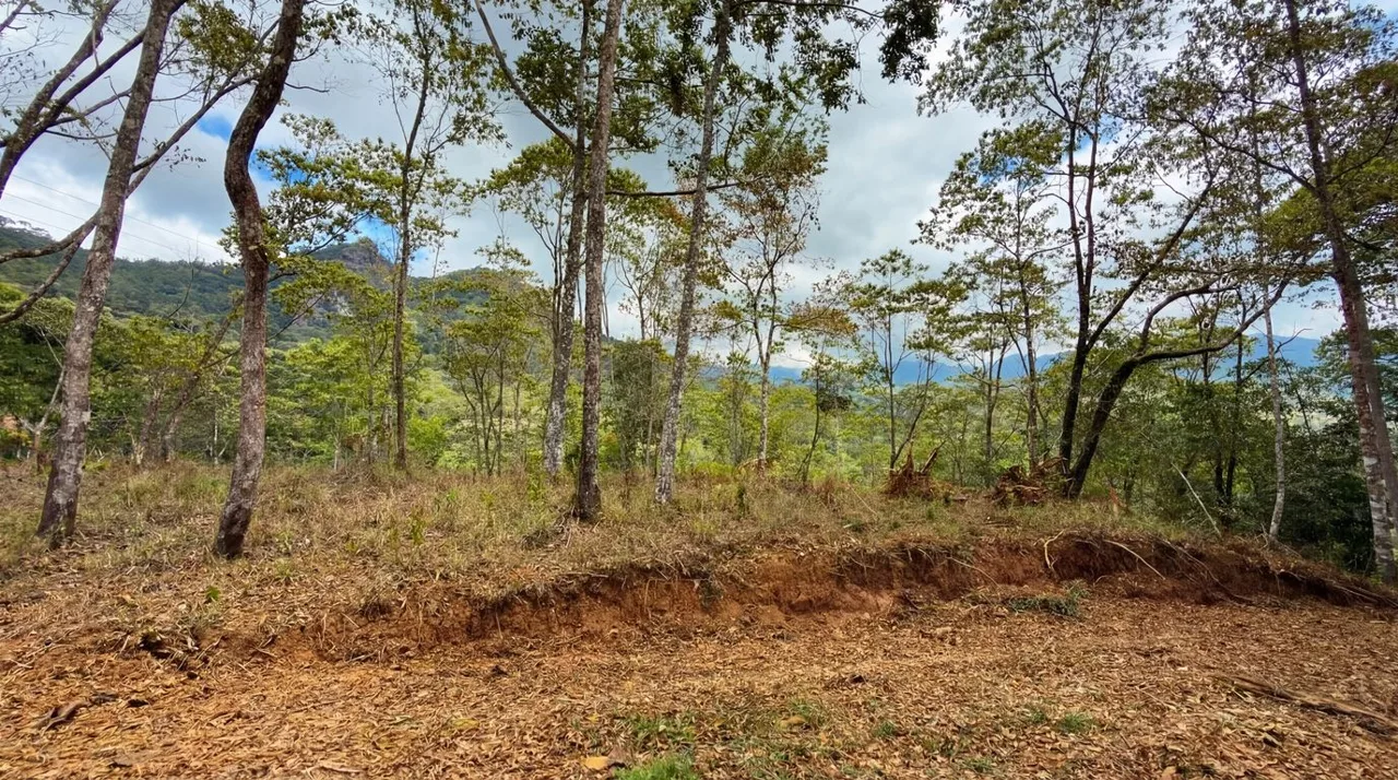 For Sale: Beautiful Mountain 1.414m2 Residential Lot in Quebradas - CR, photo 11