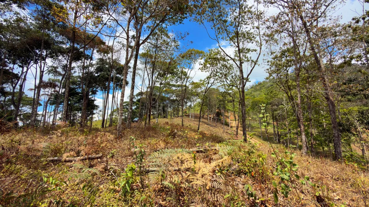 For Sale: Beautiful Mountain 1.414m2 Residential Lot in Quebradas - CR, photo 12