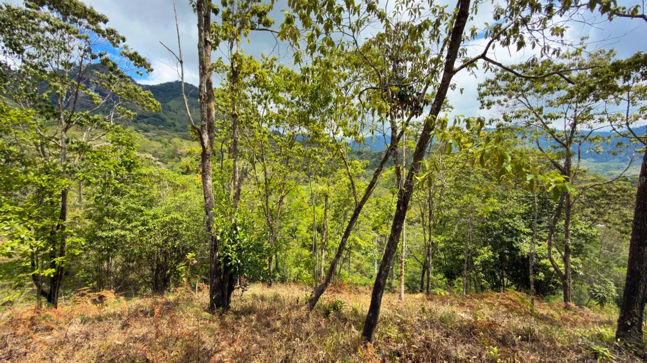 For Sale: Beautiful Mountain 1.414m2 Residential Lot in Quebradas - CR, photo 13