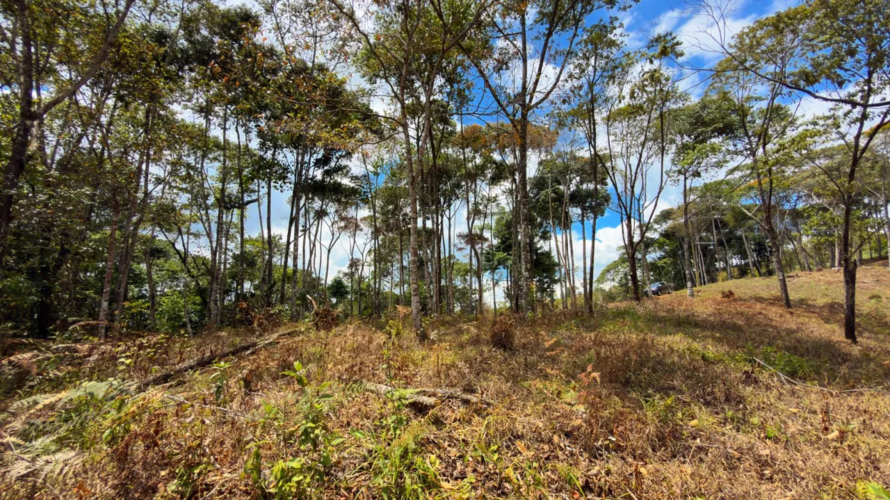 For Sale: Beautiful Mountain 1.414m2 Residential Lot in Quebradas - CR, photo 6
