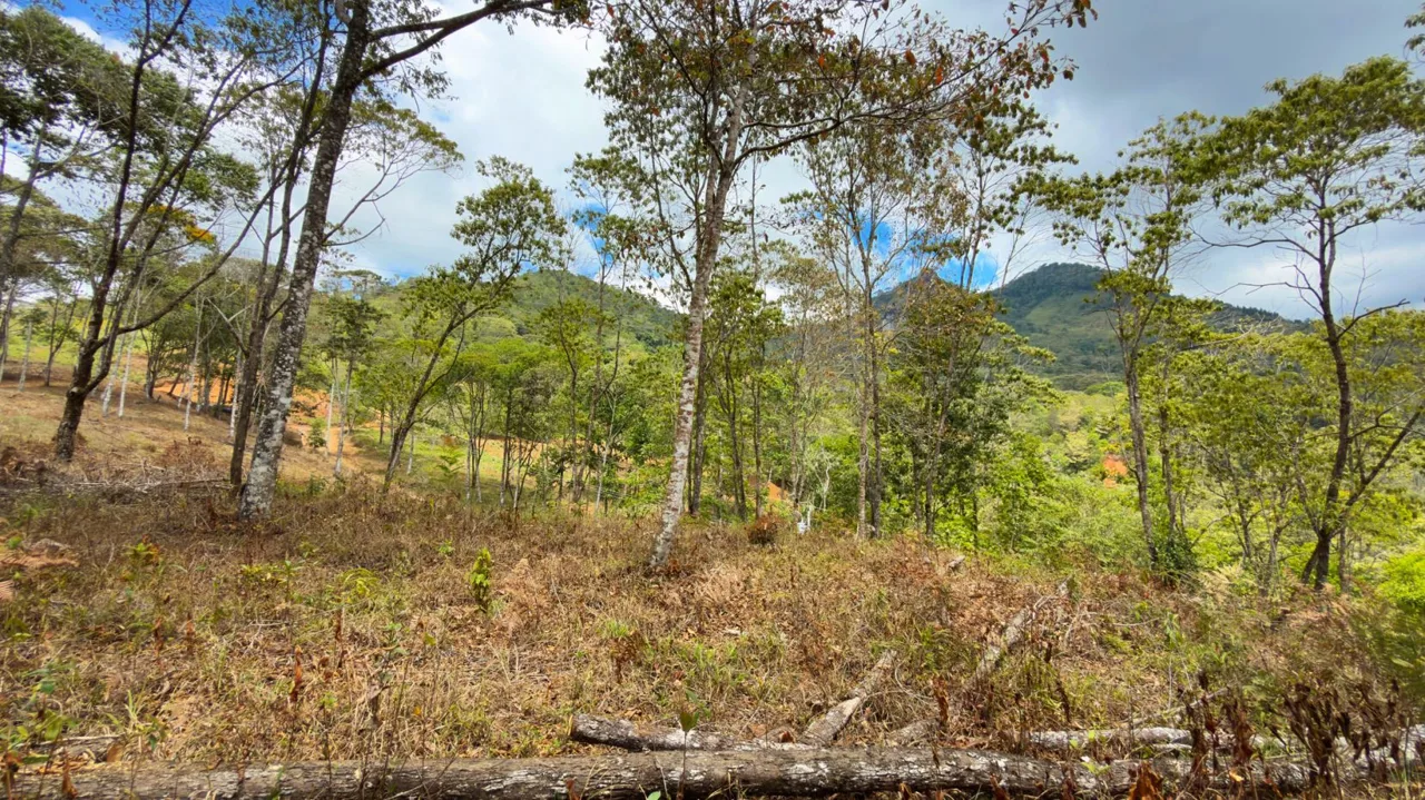For Sale: Beautiful Mountain 1.414m2 Residential Lot in Quebradas - CR, photo 7