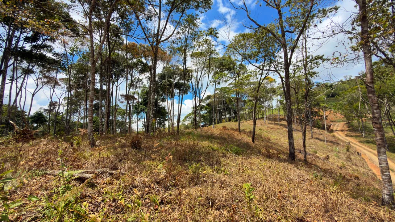 For Sale: Beautiful Mountain 1.414m2 Residential Lot in Quebradas - CR, photo 8