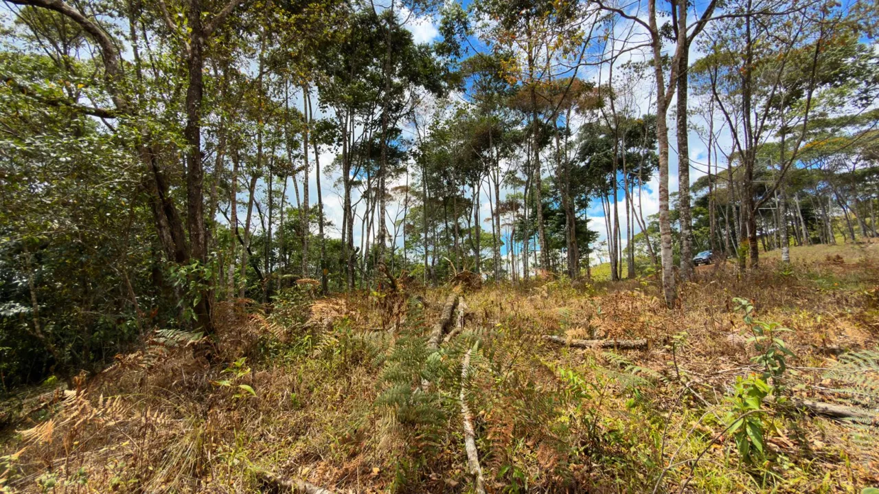 For Sale: Beautiful Mountain 1.414m2 Residential Lot in Quebradas - CR, photo 9