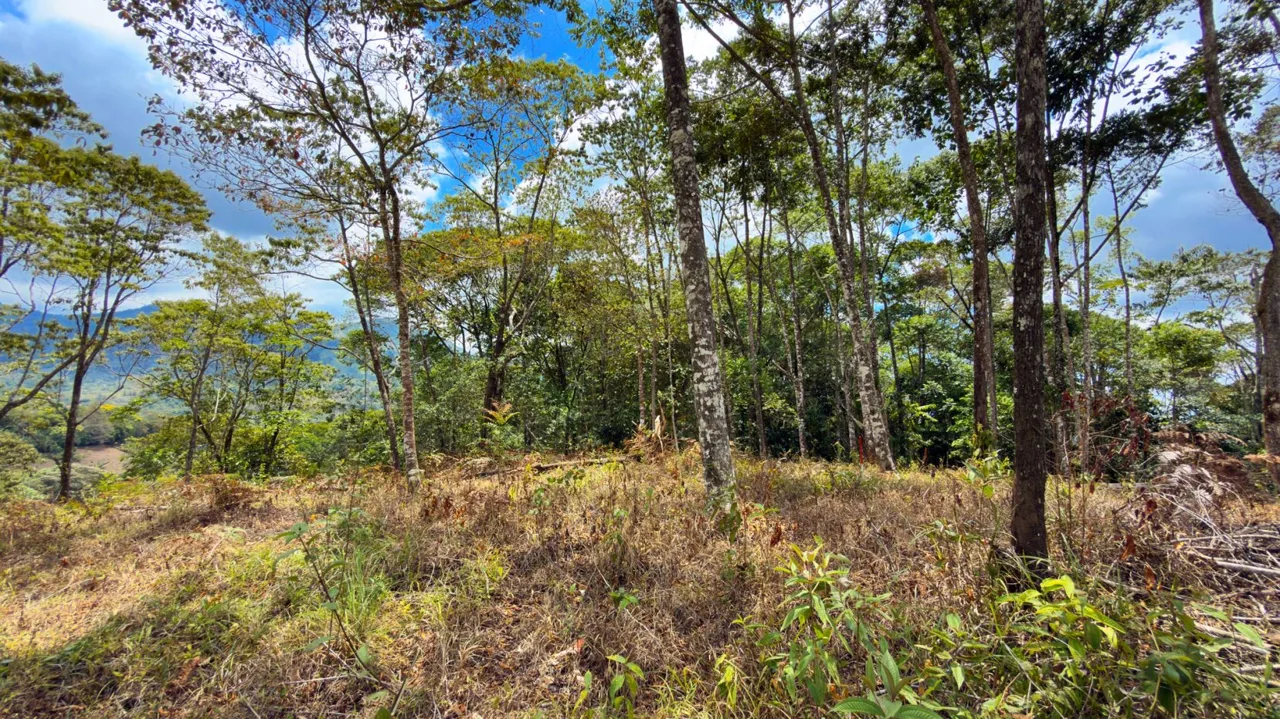For Sale: Beautiful Mountain 1.414m2 Residential Lot in Quebradas - CR, photo 10
