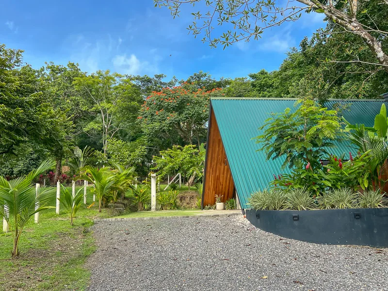 10 Bed Single Family Homes For Sale in Malpais