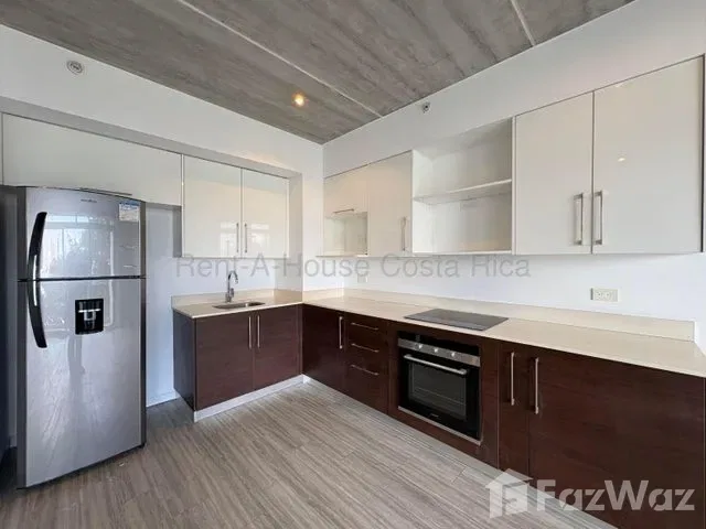 1 Bedroom Apartment for Rent at Montes de Oca for $1,200/mo, photo 4
