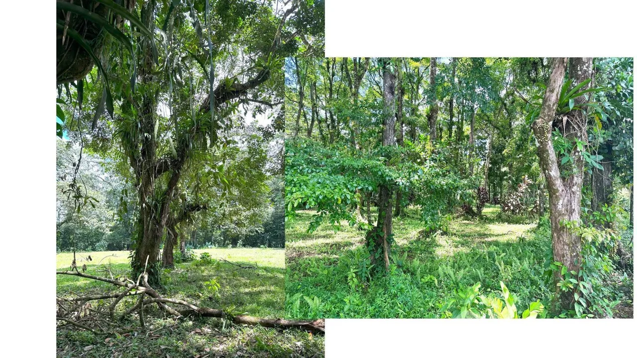 Land for Sale at Lagunilla Heredia for $350,000, photo 12