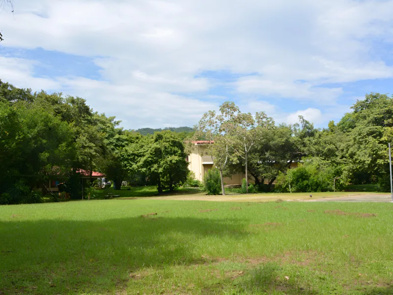 6 Bed Commercial For Sale in Playas Del Coco, photo 14