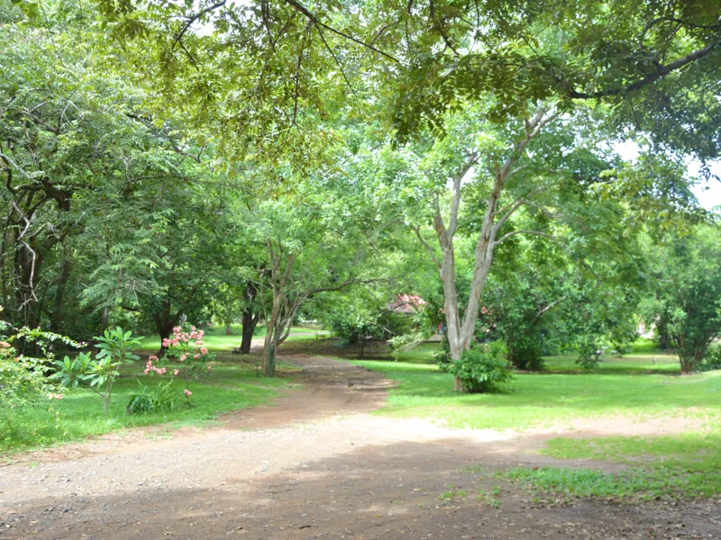 6 Bed Commercial For Sale in Playas Del Coco, photo 15