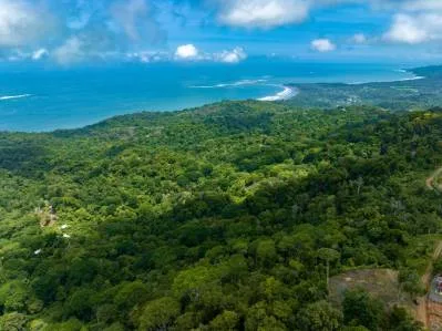 Elevated Pacific Vistas: 16 Acres Designed for a Landmark Project Above Uvita, photo 4