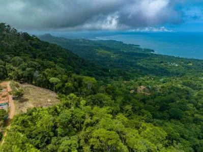 Elevated Pacific Vistas: 16 Acres Designed for a Landmark Project Above Uvita, photo 6