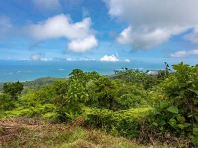 Elevated Pacific Vistas: 16 Acres Designed for a Landmark Project Above Uvita, photo 7