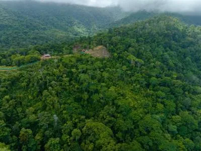 Elevated Pacific Vistas: 16 Acres Designed for a Landmark Project Above Uvita, photo 9