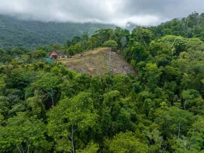 Elevated Pacific Vistas: 16 Acres Designed for a Landmark Project Above Uvita, photo 10