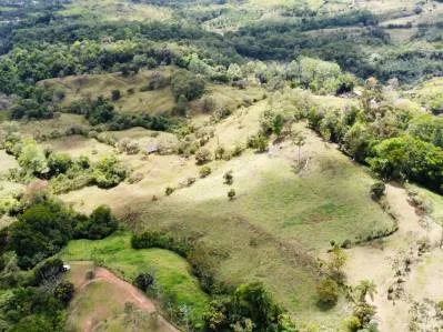 Finca 3 con las mejores vistas., photo 2