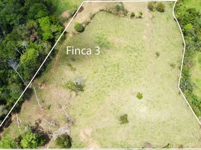 Finca 3 con las mejores vistas., photo 4