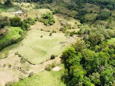 Finca 3 con las mejores vistas., photo 5