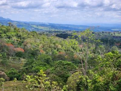 Finca 3 con las mejores vistas., photo 6