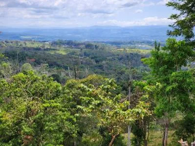 Finca 3 con las mejores vistas., photo 7
