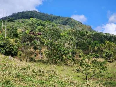 Finca 3 con las mejores vistas., photo 8