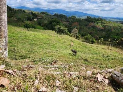 Finca 3 con las mejores vistas., photo 10