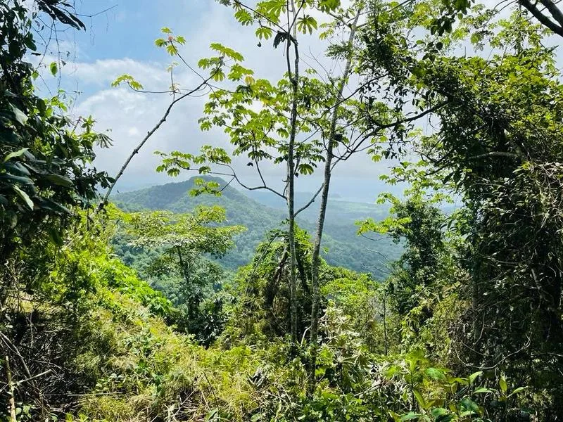 Land For Sale in Nicoya Peninsula
