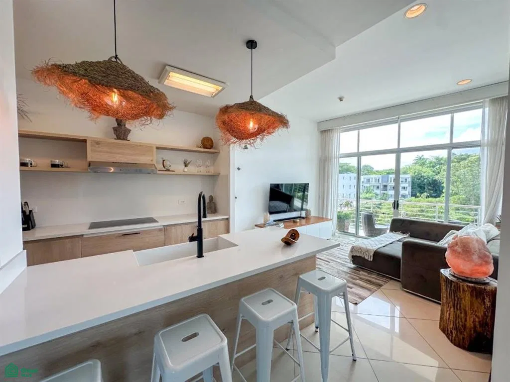 Pacific Park 406