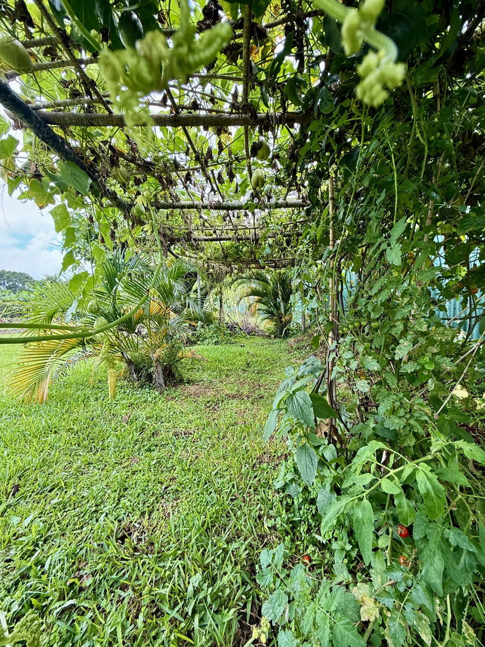 Multi-Home Estate with Endless Possibilities Just 13 Minutes from the Airport, photo 24