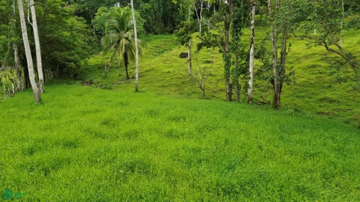 El Seis Turrialba Cartago