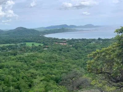 Terrazas looking over Playa Potrero