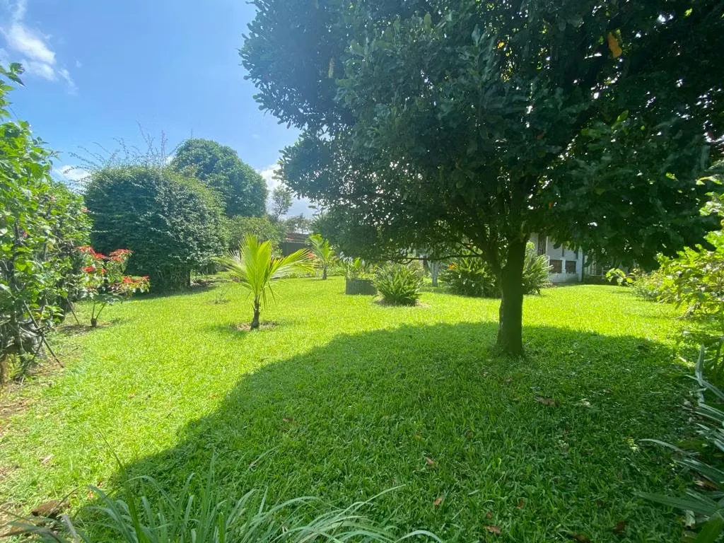 MA Asesorías vende interesante propiedad ubicada sobre carretera principal dirección San Pablo – Santo Domingo de Heredia., photo 8