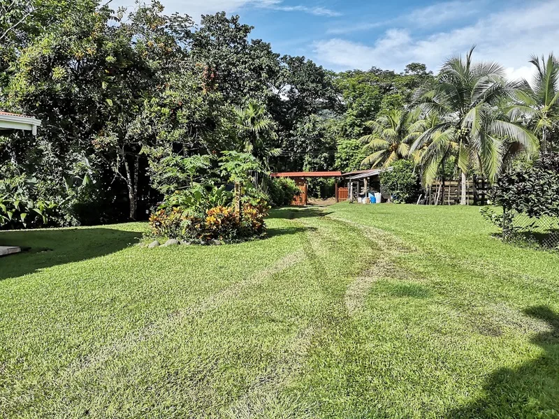 Land For Sale in Dominical, photo 2