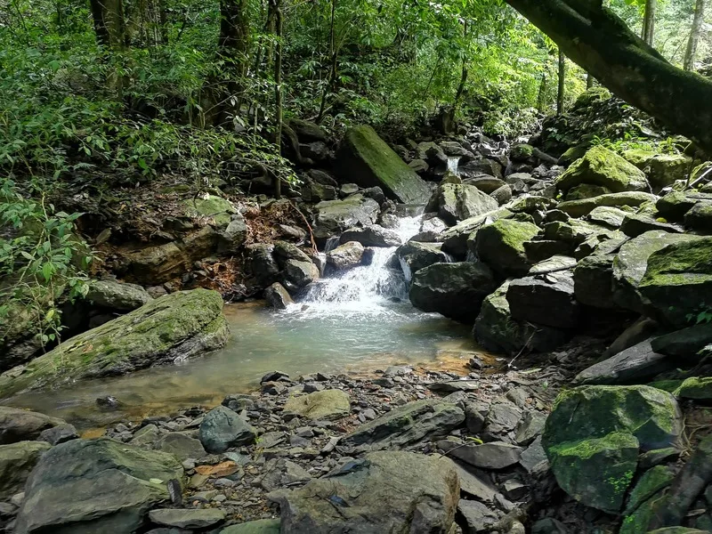 Land For Sale in Dominical, photo 13