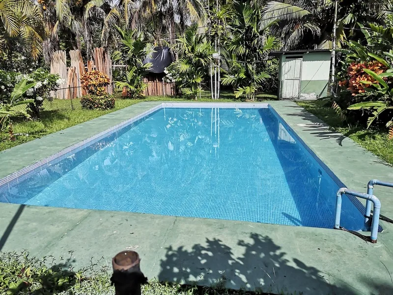 Land For Sale in Dominical, photo 3