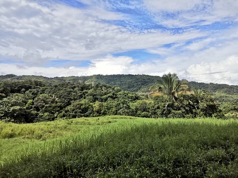 Land For Sale in Dominical, photo 5