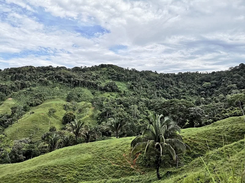 Land For Sale in Dominical, photo 7