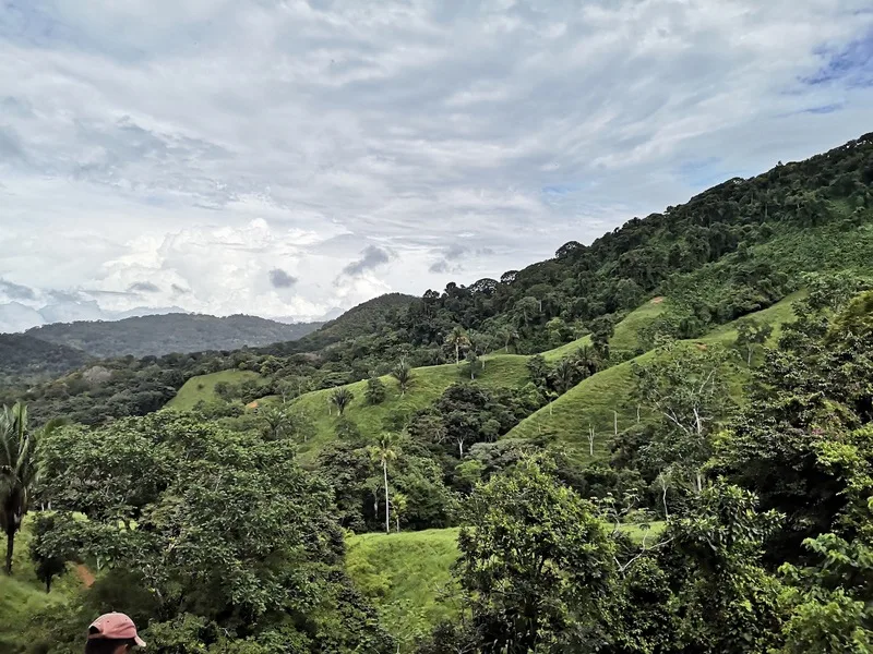 Land For Sale in Dominical, photo 8