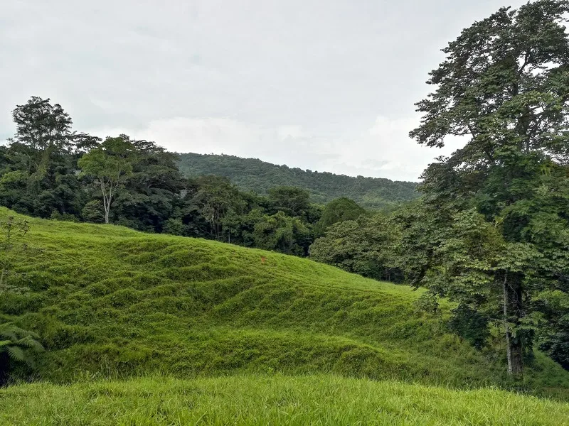 Land For Sale in Dominical, photo 9