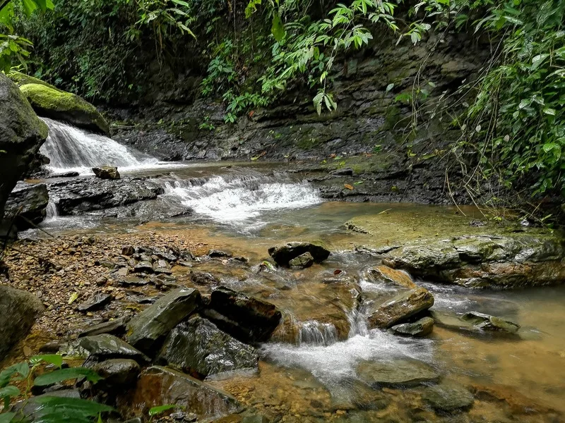 Land For Sale in Dominical, photo 10