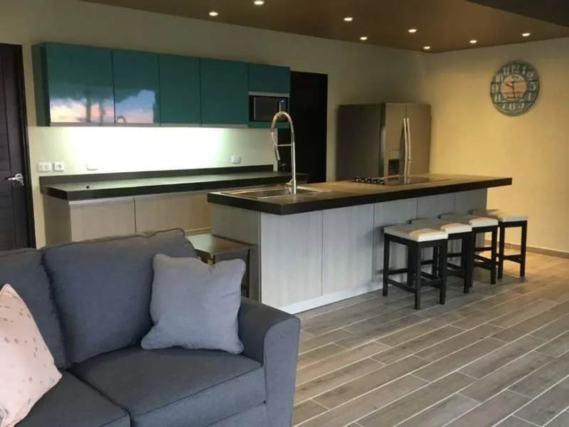 4 Bed Single Family Homes For Sale in Playa Potrero, photo 4
